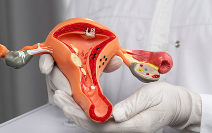 Gynaecology & Obstetrics